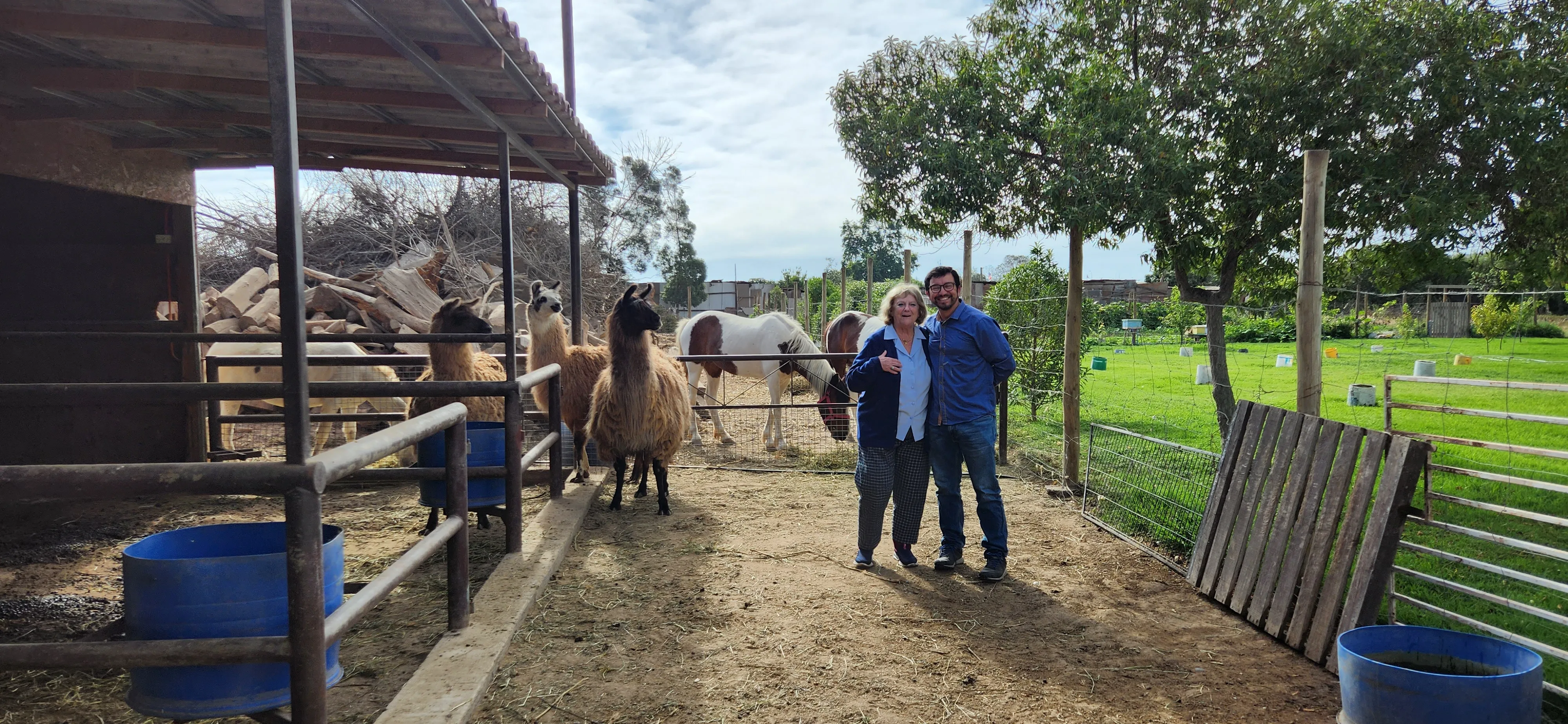 Prof. Gloria Montenegro